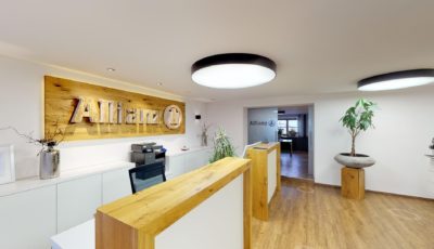 ALLIANZ AGENTUR GEIER 3D Model