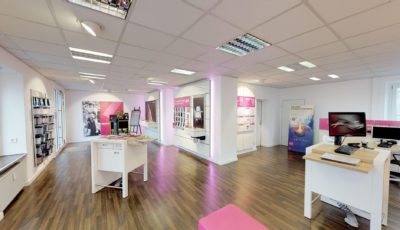 TELEKOMMUNIKATION SOMMER 3D Model
